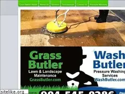 Sites similar to washbutler.com