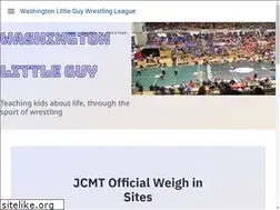 Sites similar to washingtonlittleguy.com