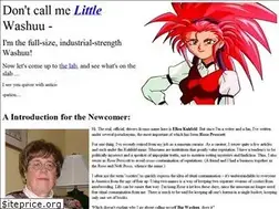 Sites similar to washuu.net