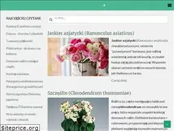 Sites similar to waszekwiaty.pl