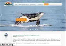 Sites similar to watchwhales.com