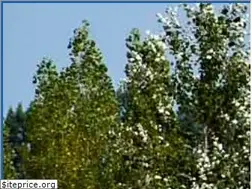 Sites similar to waterbouwsite.nl