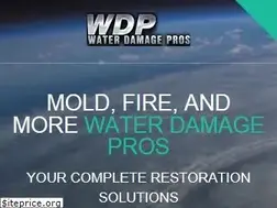 Sites similar to waterdamageprosllc.com