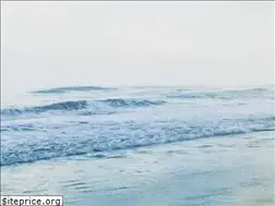 Sites similar to wave-project.jp