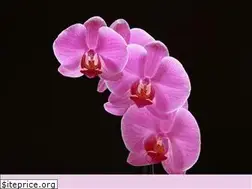Sites similar to waxingbygina.com
