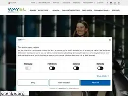 Sites similar to wayel.it