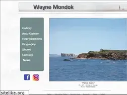 Sites similar to waynemondok.com