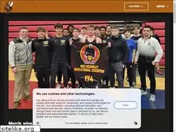 Sites similar to waynesburgsports.com