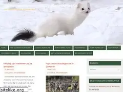Sites similar to wbesusterengraetheide.nl