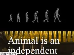 Sites similar to weareanimal.co