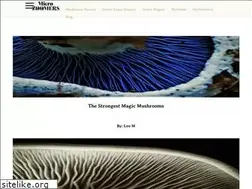 Sites similar to wearecairo.com