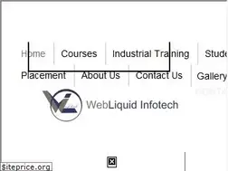 Sites similar to webliquidinfotech.com
