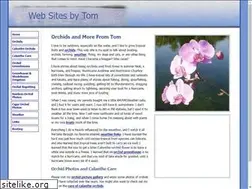 Sites similar to websitesbytom.com