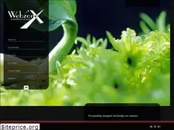 Sites similar to webzonex.com