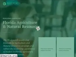 Sites similar to wedgworthleadership.com