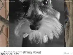 Sites similar to wednesdaywithwatson.com