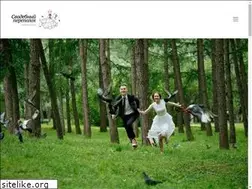Sites similar to wedplan.ru
