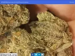 Sites similar to weedonwheels303.com