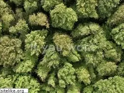 Sites similar to weetree.com