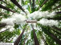 Sites similar to wegmansfurniture.com.my