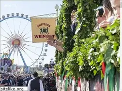 Sites similar to weinzelt.com