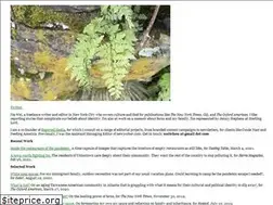 Sites similar to weitchou.com
