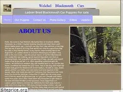 Sites similar to welchelblackmouthcur.net