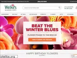 Sites similar to welkes.com