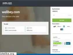 Sites similar to wellbey.com