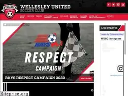 Sites similar to wellesleysoccer.org