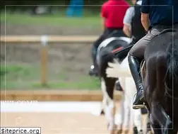 Sites similar to wellington-riding.co.uk