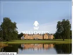 Sites similar to wellington.co.uk