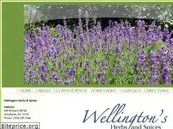 Sites similar to wellingtonsherbsandspices.com