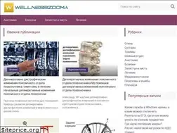 Sites similar to wellnessizdoma.ru