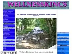 Sites similar to wellnesskincs.lapunk.hu