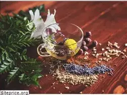 Sites similar to wellnessshoppes.com