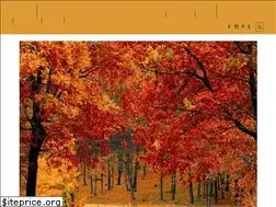 Sites similar to wellnesstwins.com