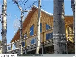 Sites similar to wellswatchglovertown.com