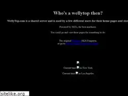 Sites similar to wellytop.com