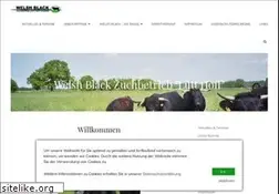 Sites similar to welsh-black-stubben.de
