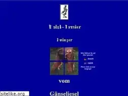 Sites similar to welsh-terrier.de