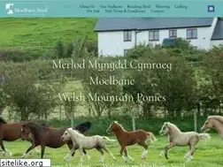 Sites similar to welshmountainpony.co.uk