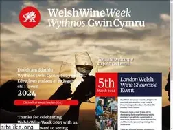 Sites similar to welshwineweek.co.uk