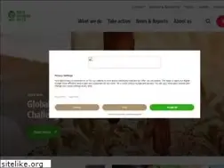 Sites similar to welthungerhilfe.org