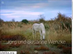 Sites similar to wenzke.eu