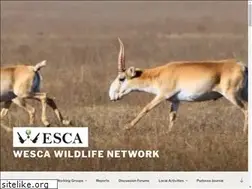 Sites similar to wesca.net