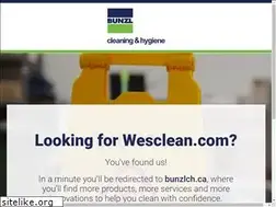 Sites similar to wesclean.com