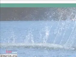 Sites similar to wesellkeowee.com