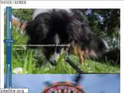 Sites similar to weserkurier.de