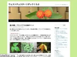 Sites similar to westchesterredacclub.com